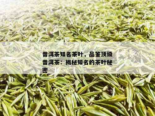 普洱茶知名茶叶，品鉴顶级普洱茶：揭秘知名的茶叶秘密