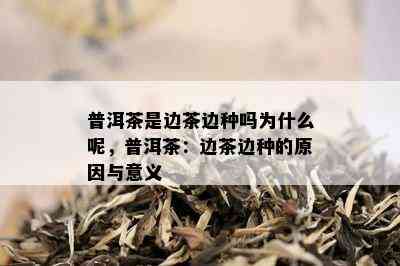 普洱茶是边茶边种吗为什么呢，普洱茶：边茶边种的原因与意义