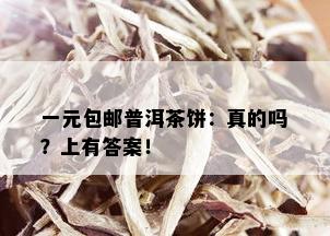 一元包邮普洱茶饼：真的吗？上有答案！