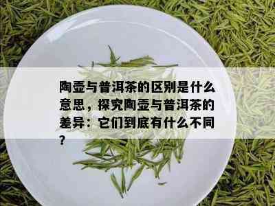 陶壶与普洱茶的区别是什么意思，探究陶壶与普洱茶的差异：它们到底有什么不同？