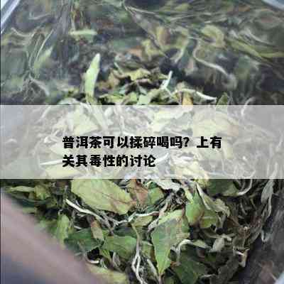 普洱茶可以揉碎喝吗？上有关其性的讨论