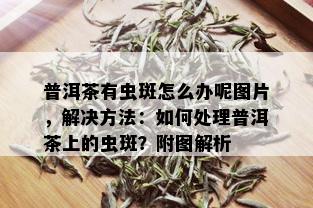 普洱茶有虫斑怎么办呢图片，解决方法：如何处理普洱茶上的虫斑？附图解析