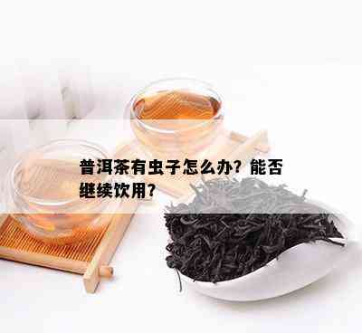 普洱茶有虫子怎么办？能否继续饮用？