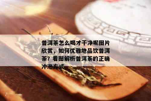 普洱茶怎么喝才干净呢图片欣赏，如何优雅地品饮普洱茶？看图解析普洱茶的正确冲泡方式