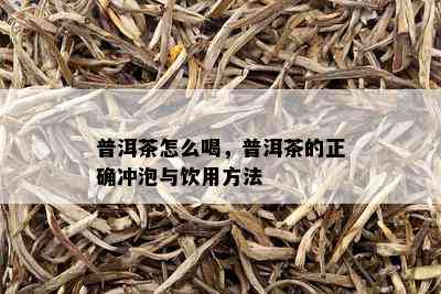 普洱茶怎么喝，普洱茶的正确冲泡与饮用方法