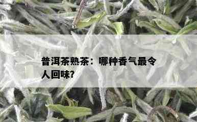 普洱茶熟茶：哪种香气最令人回味？