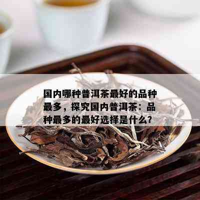 国内哪种普洱茶更好的品种最多，探究国内普洱茶：品种最多的更好选择是什么？