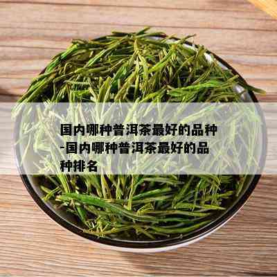 国内哪种普洱茶更好的品种-国内哪种普洱茶更好的品种排名