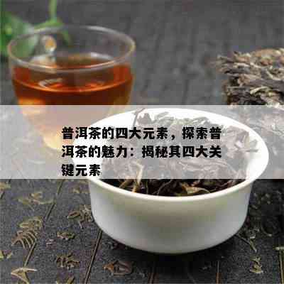 普洱茶的四大元素，探索普洱茶的魅力：揭秘其四大关键元素