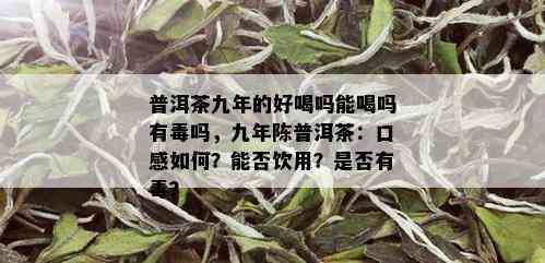 普洱茶九年的好喝吗能喝吗有吗，九年陈普洱茶：口感如何？能否饮用？是否有？