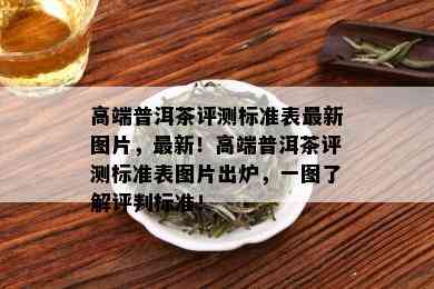 高端普洱茶评测标准表最新图片，最新！高端普洱茶评测标准表图片出炉，一图了解评判标准！