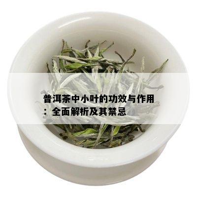 普洱茶中小叶的功效与作用：全面解析及其禁忌