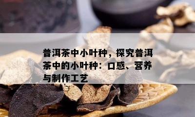 普洱茶中小叶种，探究普洱茶中的小叶种：口感、营养与制作工艺