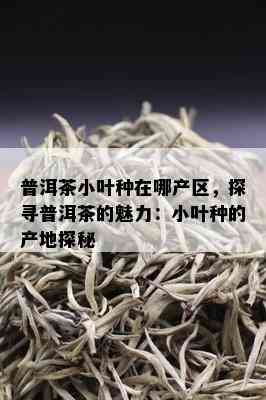 普洱茶小叶种在哪产区，探寻普洱茶的魅力：小叶种的产地探秘