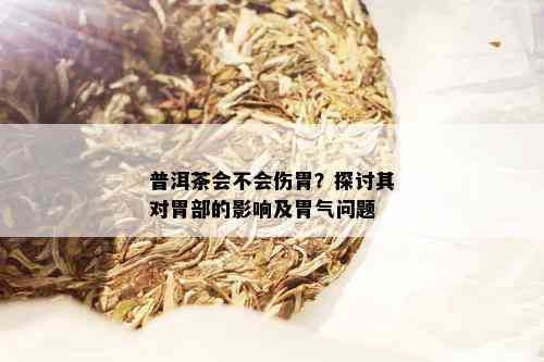 普洱茶会不会伤胃？探讨其对胃部的影响及胃气问题