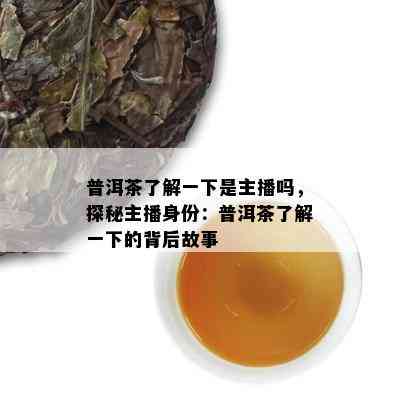 普洱茶了解一下是主播吗，探秘主播身份：普洱茶了解一下的背后故事