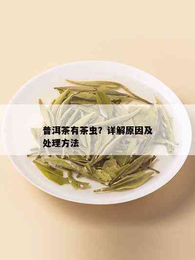 普洱茶有茶虫？详解原因及处理方法