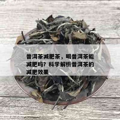 普洱茶减肥茶，喝普洱茶能减肥吗？科学解析普洱茶的减肥效果