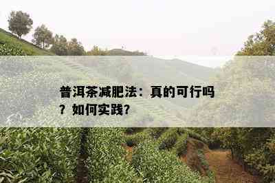 普洱茶减肥法：真的可行吗？如何实践？