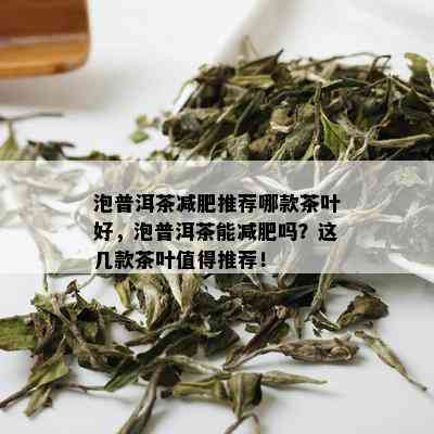 泡普洱茶减肥推荐哪款茶叶好，泡普洱茶能减肥吗？这几款茶叶值得推荐！