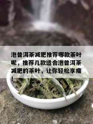 泡普洱茶减肥推荐哪款茶叶呢，推荐几款适合泡普洱茶减肥的茶叶，让你轻松享瘦！