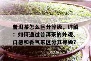 普洱茶怎么区分等级，详解：如何通过普洱茶的外观、口感和香气来区分其等级？