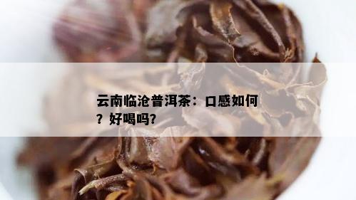 云南临沧普洱茶：口感如何？好喝吗？