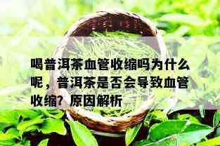 喝普洱茶血管收缩吗为什么呢，普洱茶是否会导致血管收缩？原因解析