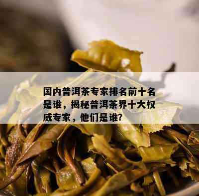 国内普洱茶专家排名前十名是谁，揭秘普洱茶界十大权威专家，他们是谁？