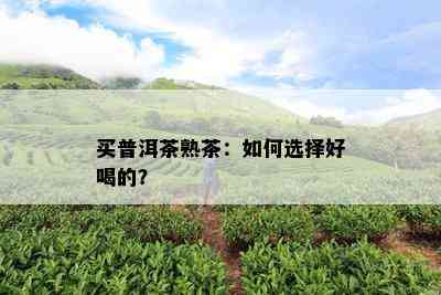 买普洱茶熟茶：如何选择好喝的？