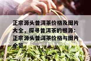 正宗源头普洱茶价格及图片大全，探寻普洱茶的根源：正宗源头普洱茶价格与图片全览