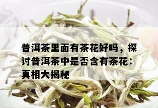 普洱茶里面有茶花好吗，探讨普洱茶中是否含有茶花：真相大揭秘