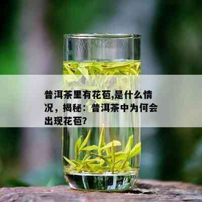 普洱茶里有花苞,是什么情况，揭秘：普洱茶中为何会出现花苞？