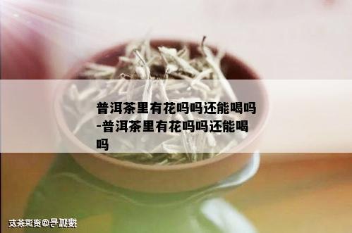 普洱茶里有花吗吗还能喝吗-普洱茶里有花吗吗还能喝吗