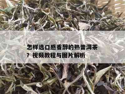 怎样选口感香醇的熟普洱茶？视频教程与图片解析