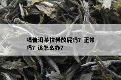 喝普洱茶拉稀放屁吗？正常吗？该怎么办？