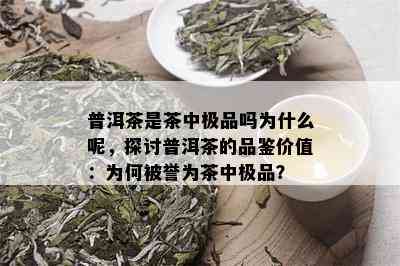 普洱茶是茶中极品吗为什么呢，探讨普洱茶的品鉴价值：为何被誉为茶中极品？