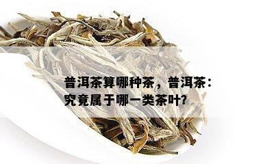 普洱茶算哪种茶，普洱茶：究竟属于哪一类茶叶？