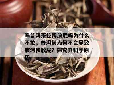 喝普洱茶拉稀放屁吗为什么不拉，普洱茶为何不会导致腹泻和放屁？探究其科学原因