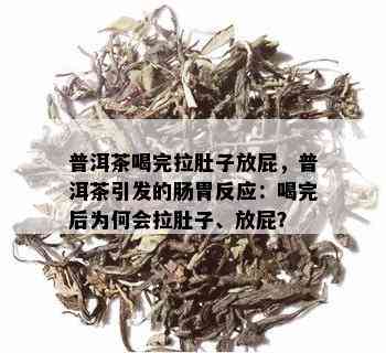 普洱茶喝完拉肚子放屁，普洱茶引发的肠胃反应：喝完后为何会拉肚子、放屁？