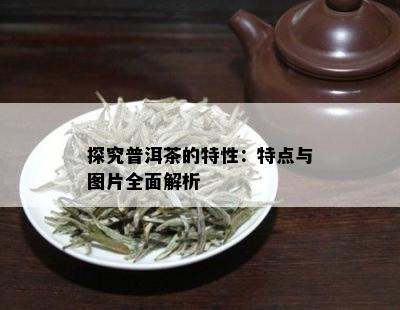 探究普洱茶的特性：特点与图片全面解析