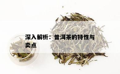 深入解析：普洱茶的特性与卖点