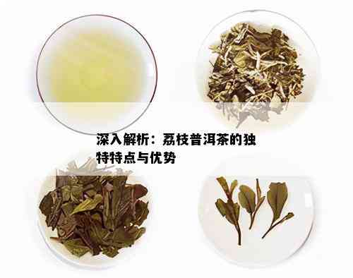 深入解析：荔枝普洱茶的独特特点与优势