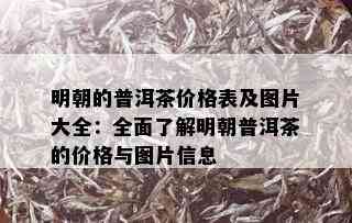 明朝的普洱茶价格表及图片大全：全面了解明朝普洱茶的价格与图片信息