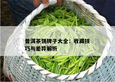 普洱茶饼牌子大全：收藏技巧与差异解析