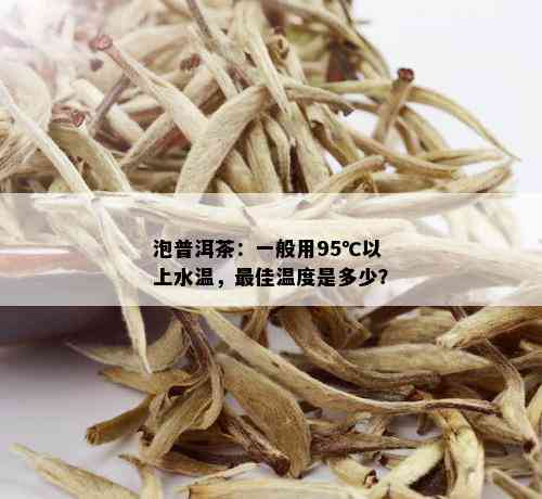 泡普洱茶：一般用95℃以上水温，更佳温度是多少？