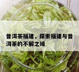 普洱茶福建，探索福建与普洱茶的不解之缘