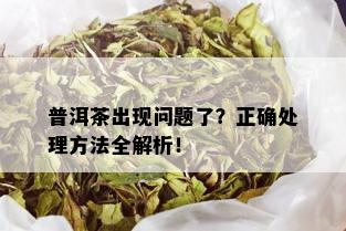 普洱茶出现问题了？正确处理方法全解析！