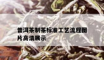 普洱茶制茶标准工艺流程图片高清展示