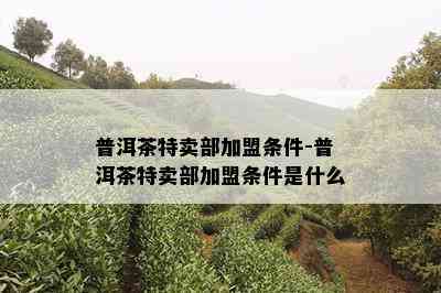 普洱茶特卖部加盟条件-普洱茶特卖部加盟条件是什么